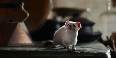 pantelimon his dark materials|His Dark Materials .